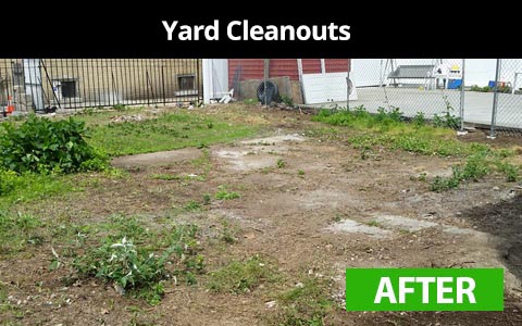 Yard cleanouts services in New York City - after photo