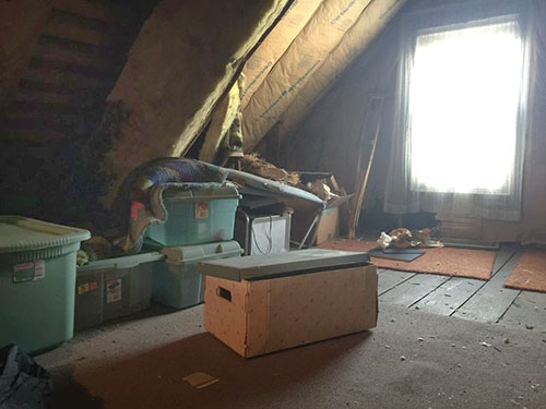 Attic Cleanouts New York City (before)