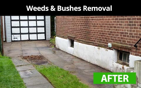 Weeds and bushes removal services in New York City - after photo