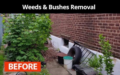 Weeds and bushes removal services in New York City - before photo