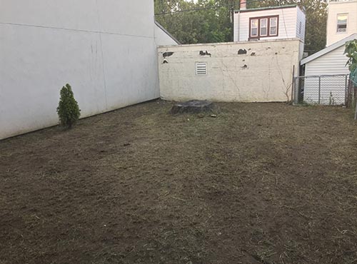 Backyard grass and weeds removal in New York City (after)